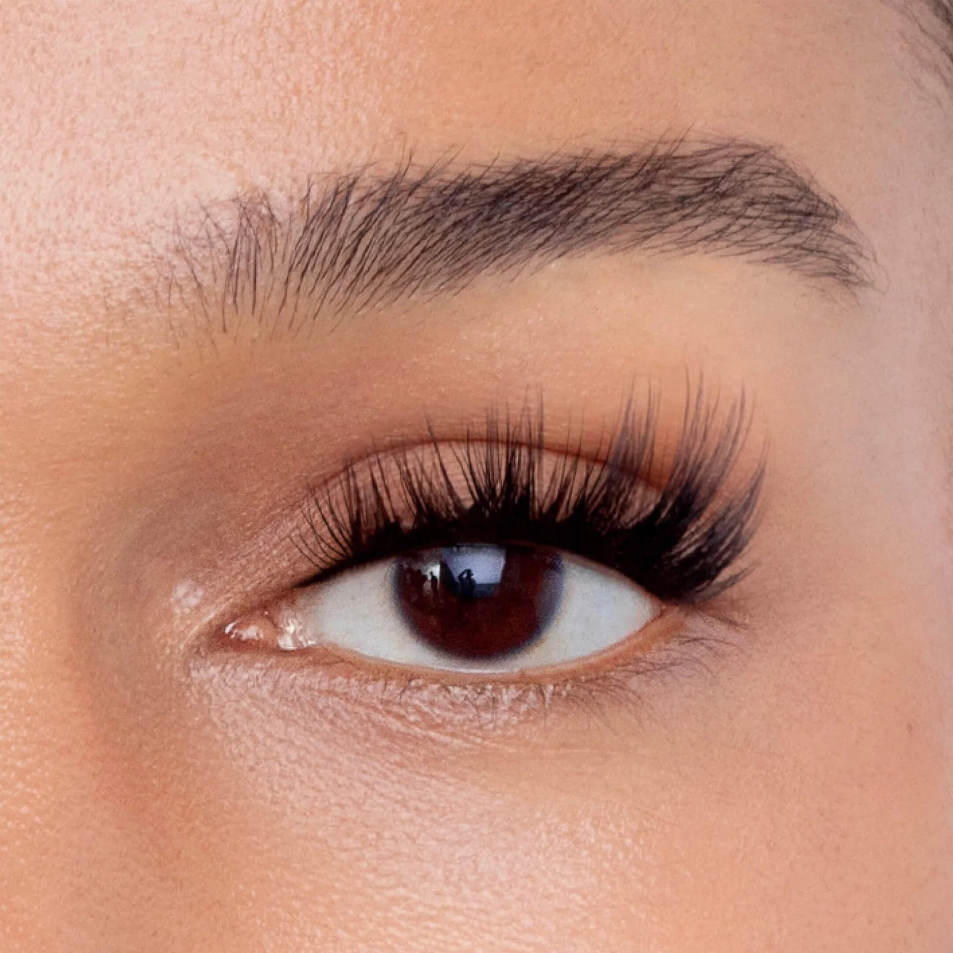 FFS Gossamer® Lashes - Pro Pack (2 count)